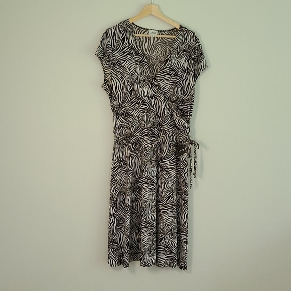 Cleo zebra print dress ๐ฆ - Picture 1 of 6